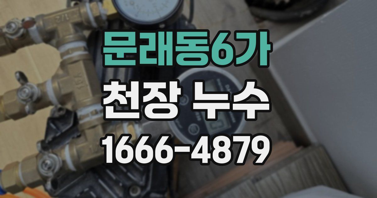 문래동6가 천장 누수