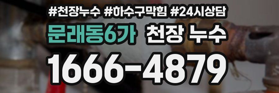 문래동6가 천장 누수
