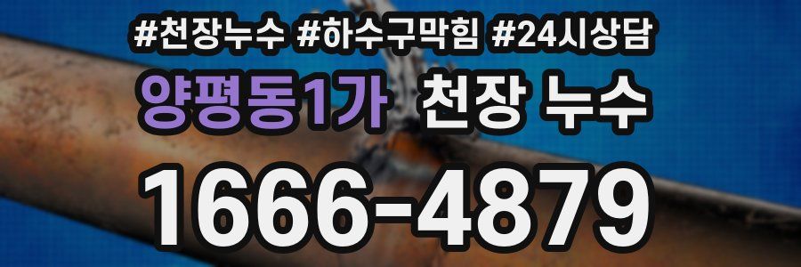 양평동1가 천장 누수