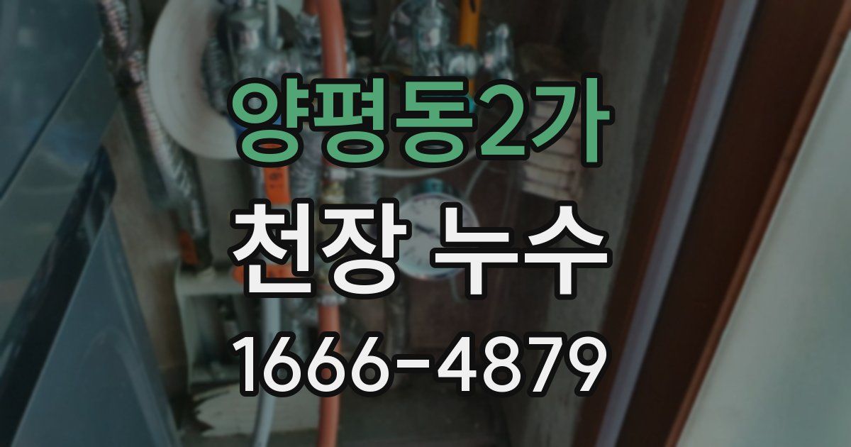 양평동2가 천장 누수