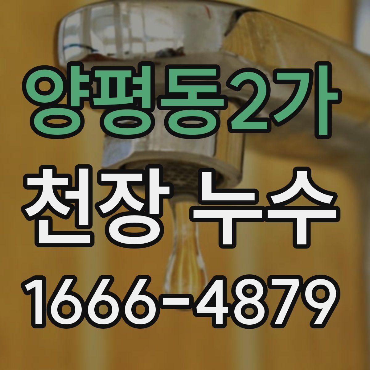 양평동2가 천장 누수