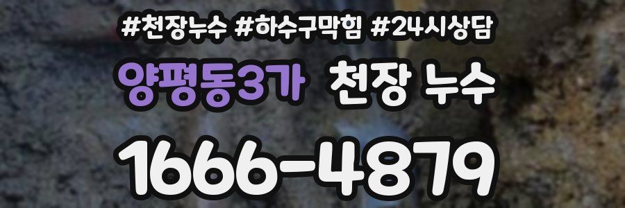 양평동3가 천장 누수