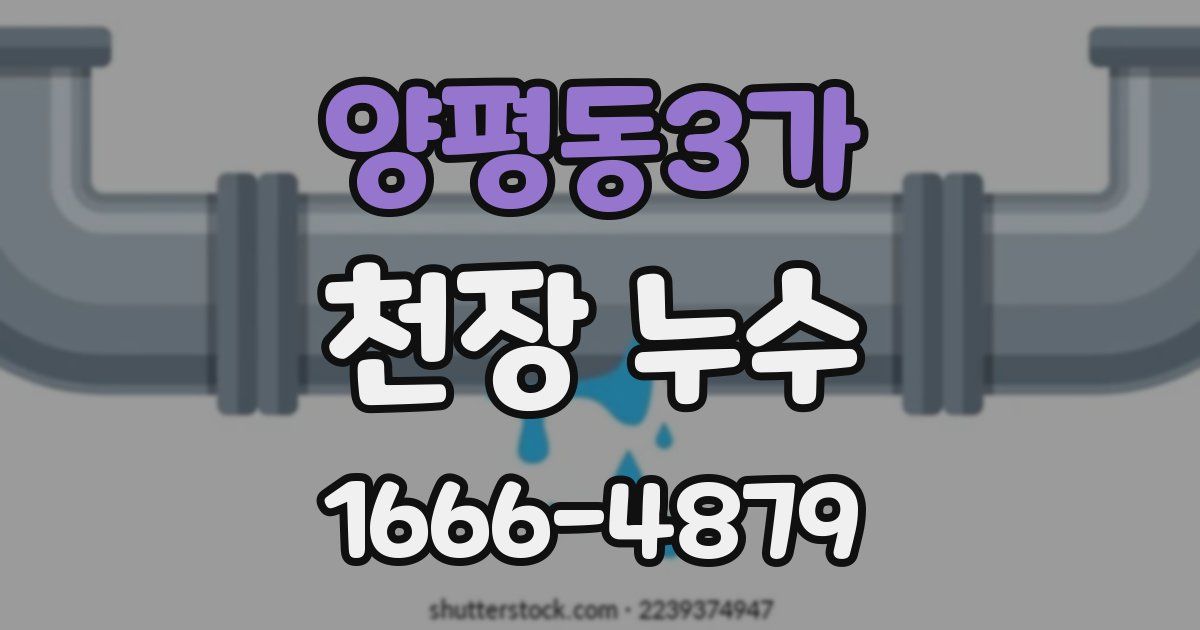 양평동3가 천장 누수