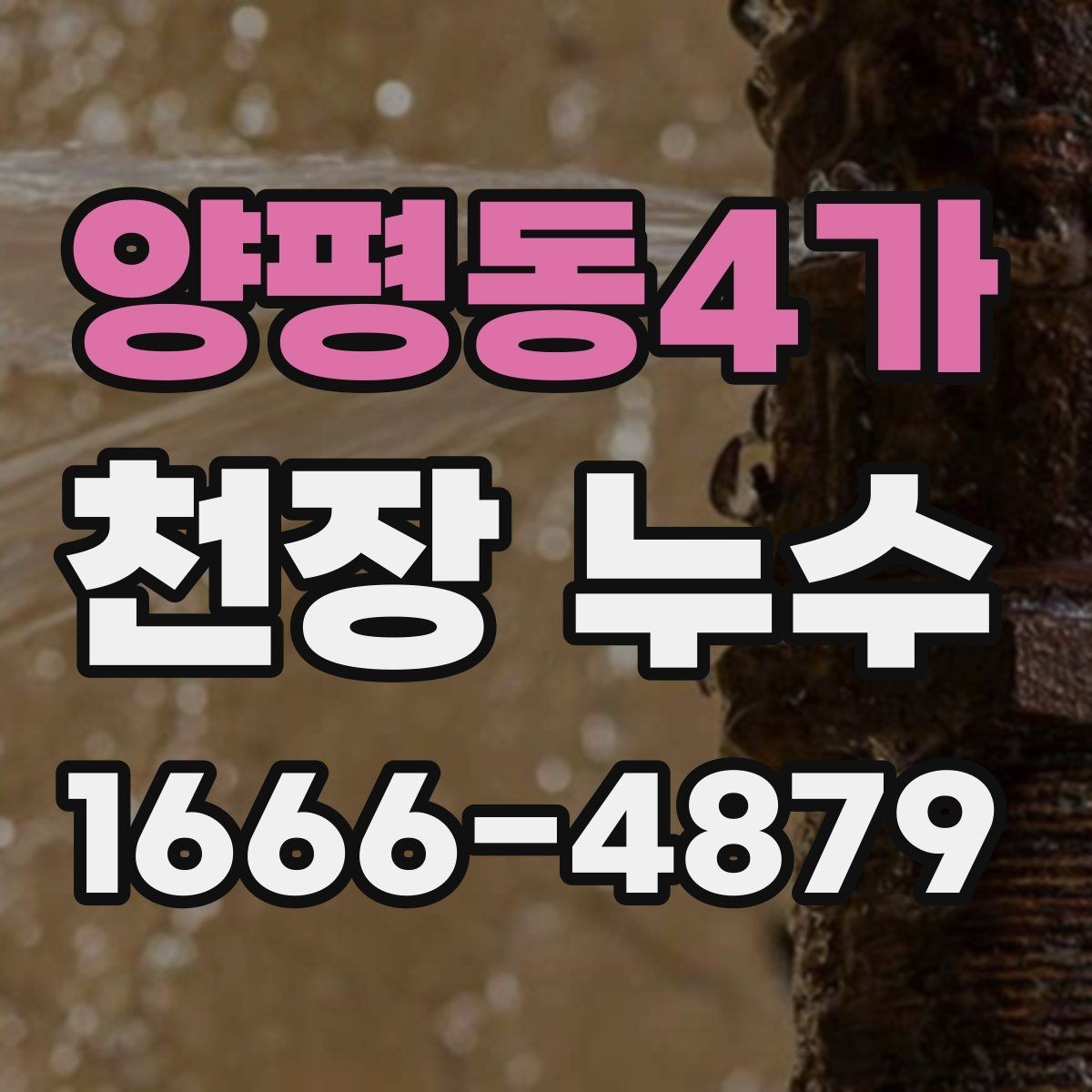 양평동4가 천장 누수 천장 내부 습기로 곰팡이가 생길 때