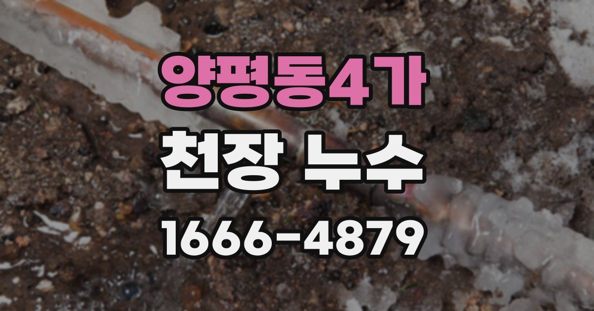 양평동4가 천장 누수