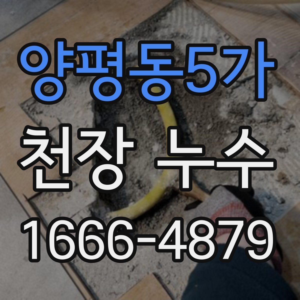 양평동5가 천장 누수 샹들리에·등 주변 물기 발견 시 대처법