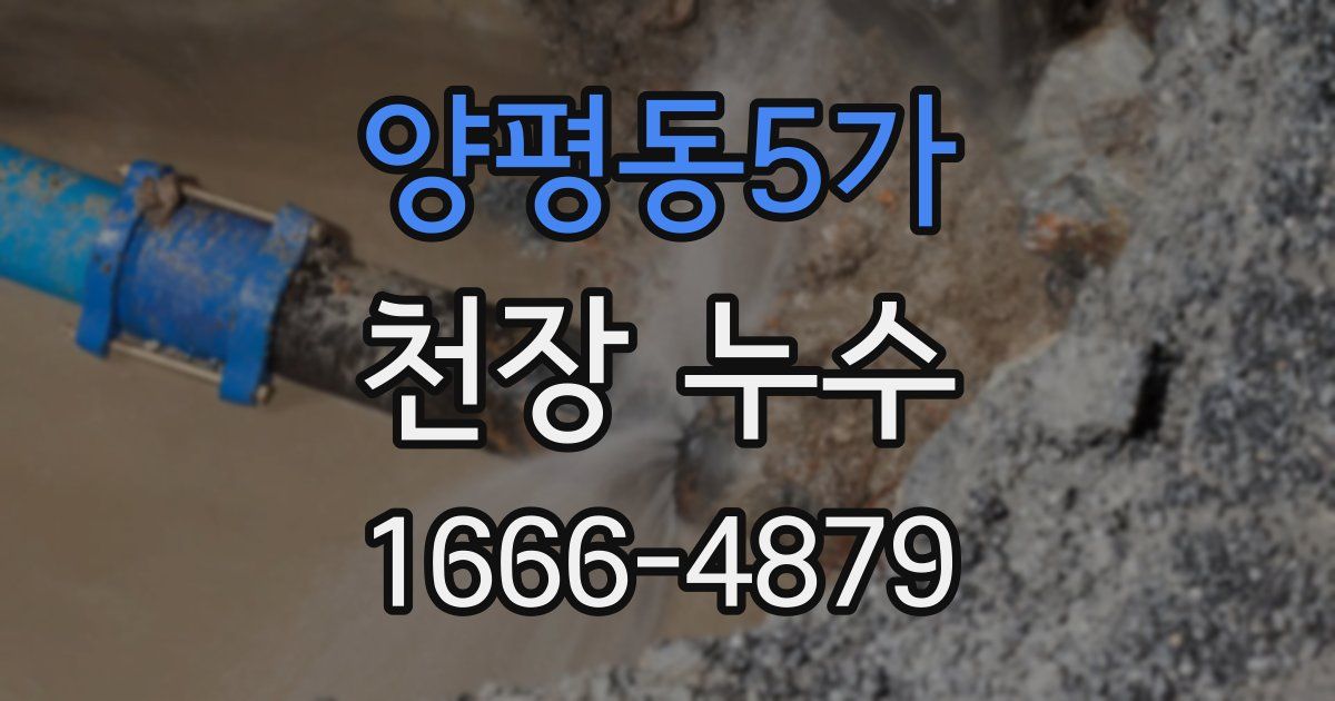 양평동5가 천장 누수