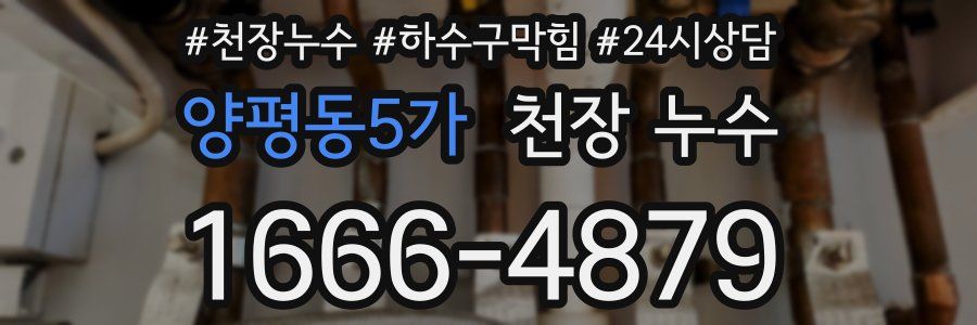 양평동5가 천장 누수