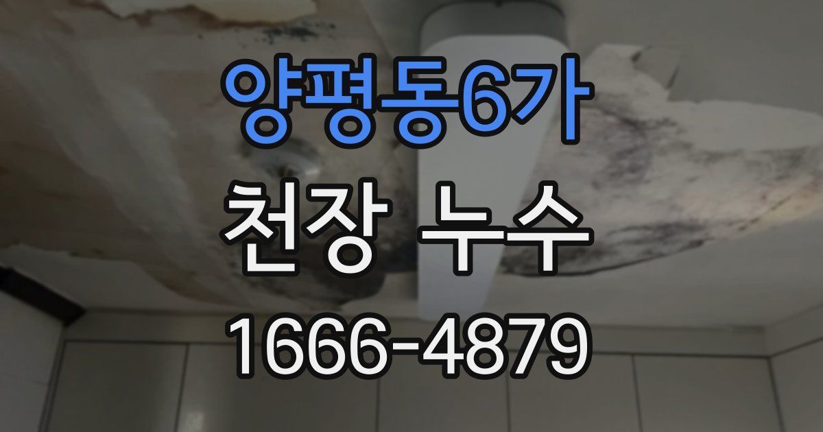 양평동6가 천장 누수