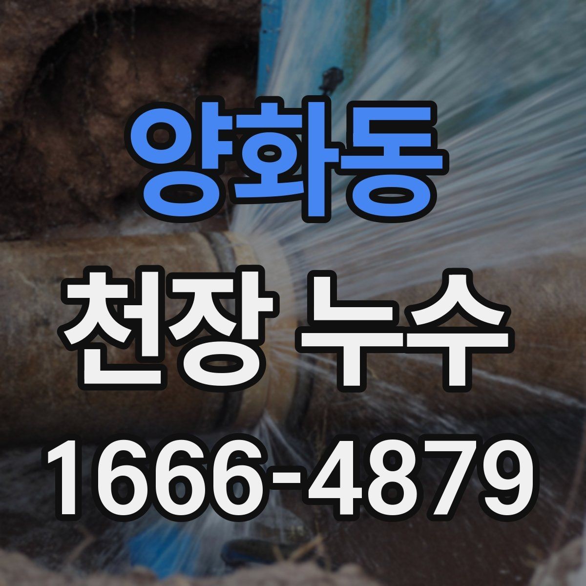 양화동 천장 누수 천장 누수 후 습기 제거가 중요한 이유
