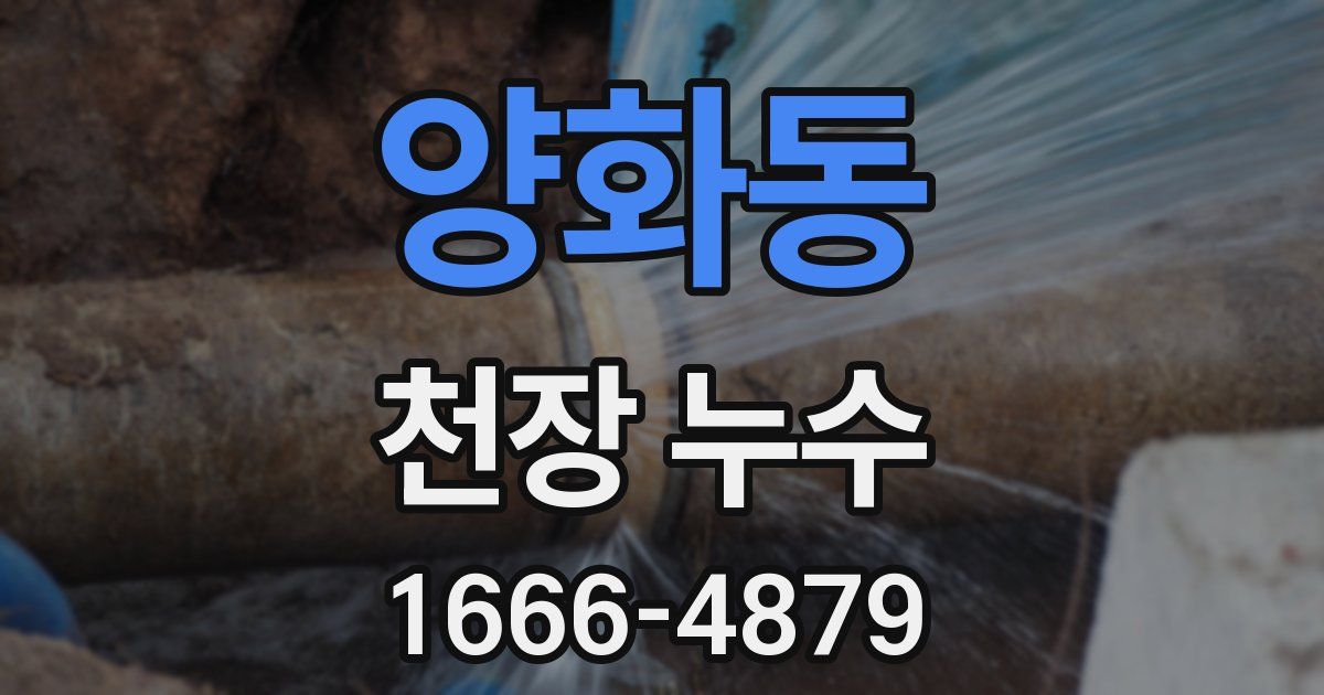 양화동 천장 누수