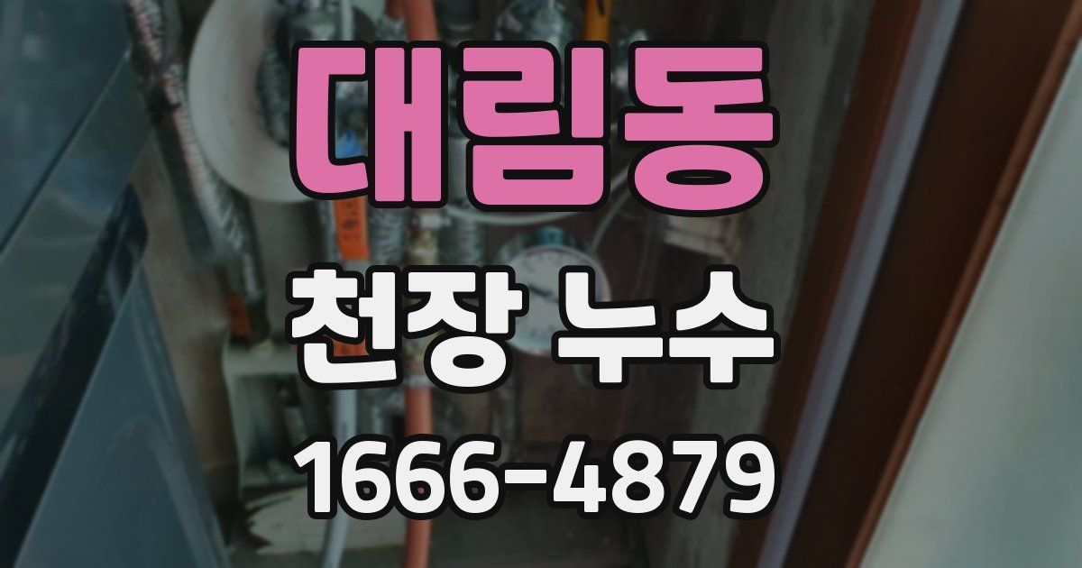 대림동 천장 누수