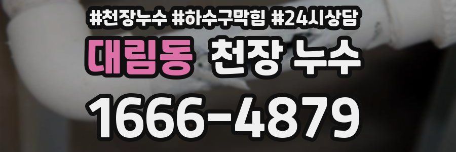 대림동 천장 누수