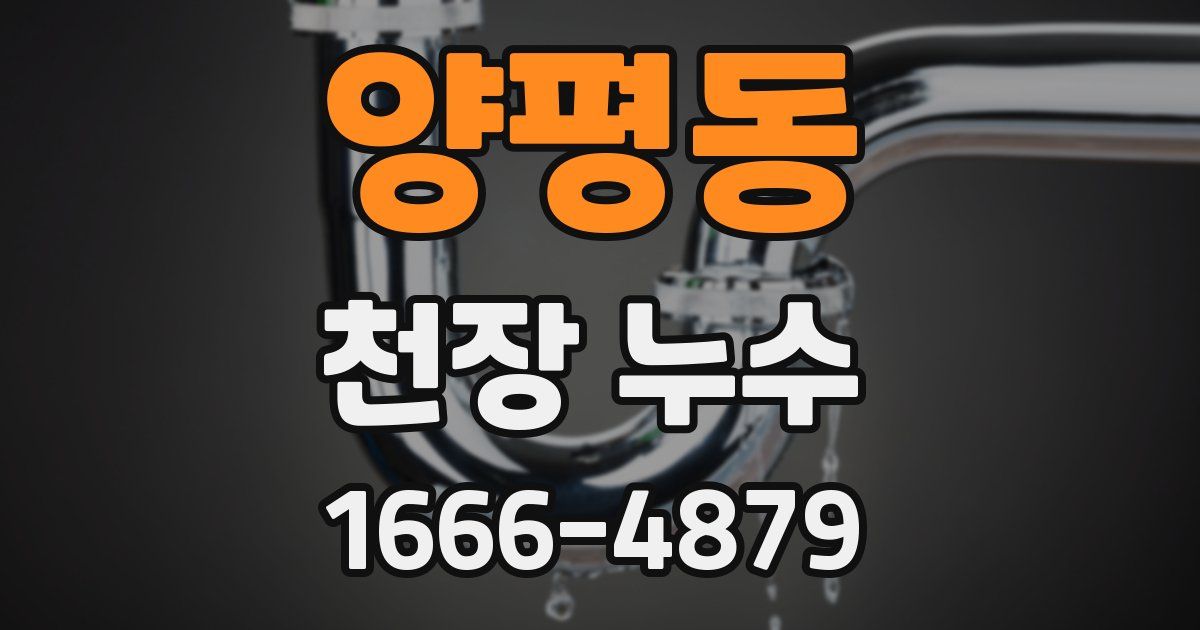 양평동 천장 누수