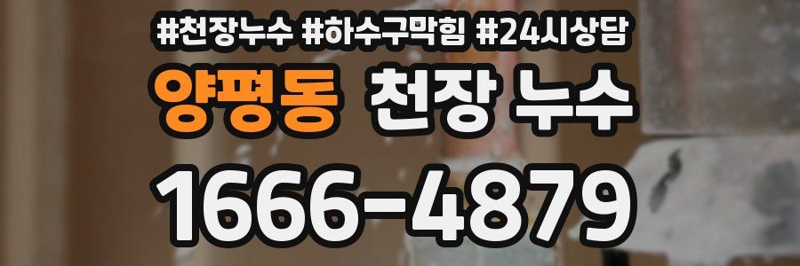 양평동 천장 누수