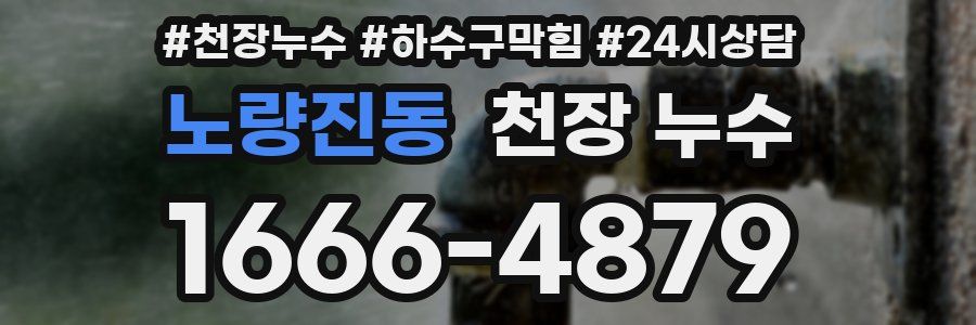 노량진동 천장 누수