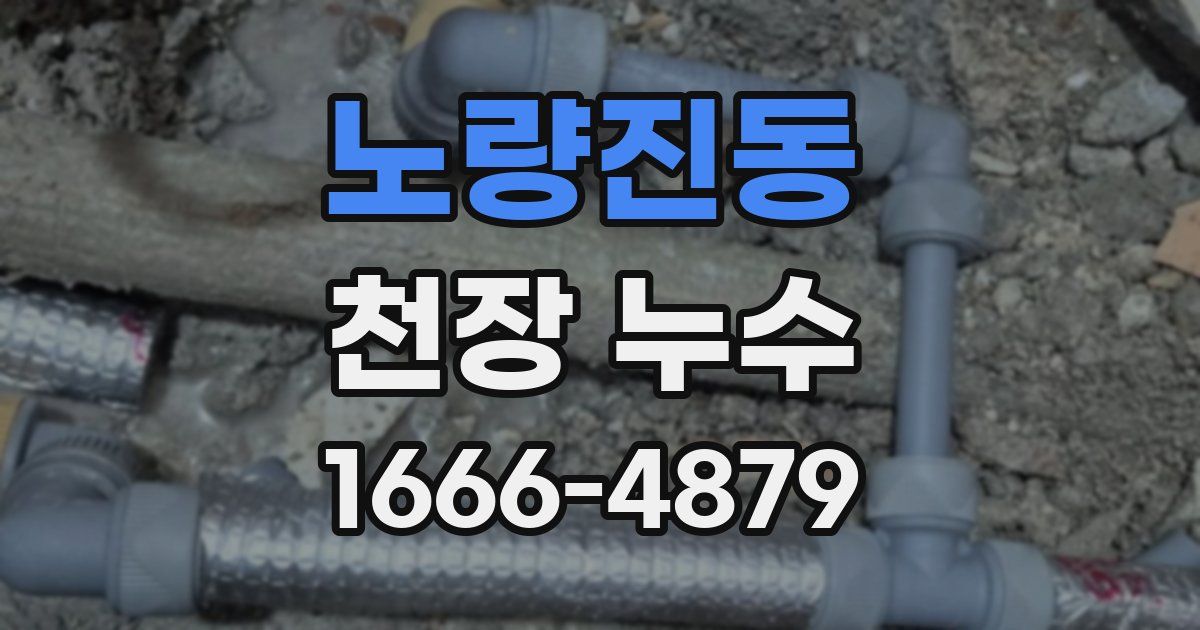 노량진동 천장 누수