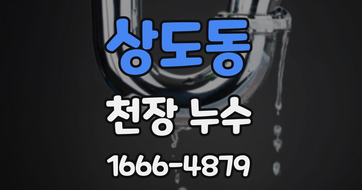 상도동 천장 누수