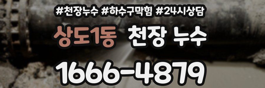 상도1동 천장 누수