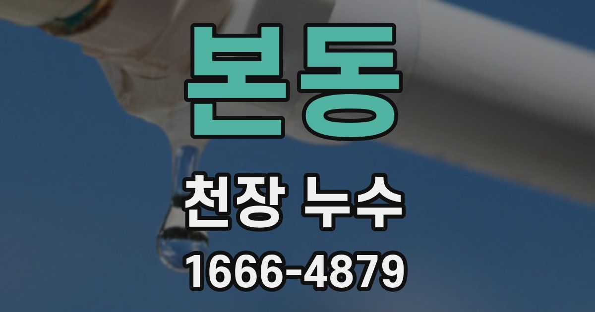 본동 천장 누수