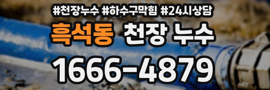 흑석동 천장 누수