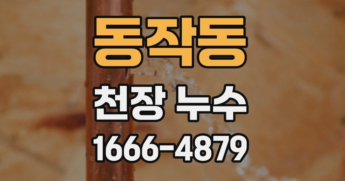 동작동 천장 누수