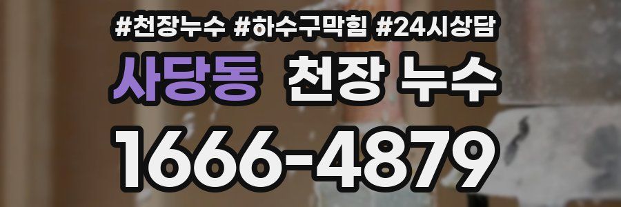 사당동 천장 누수