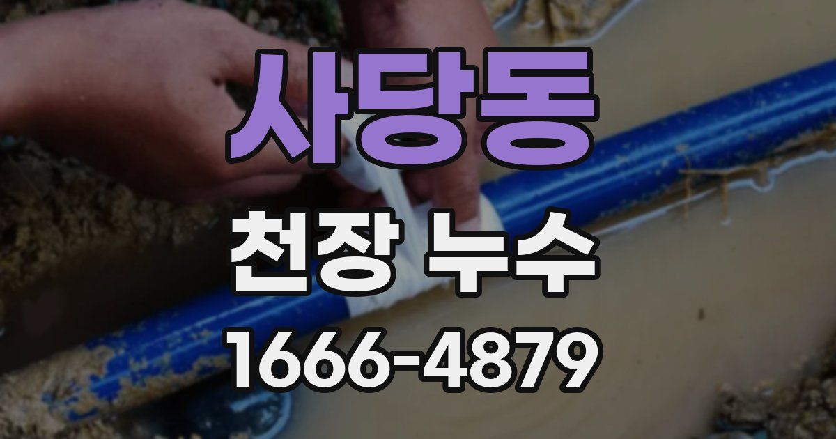 사당동 천장 누수