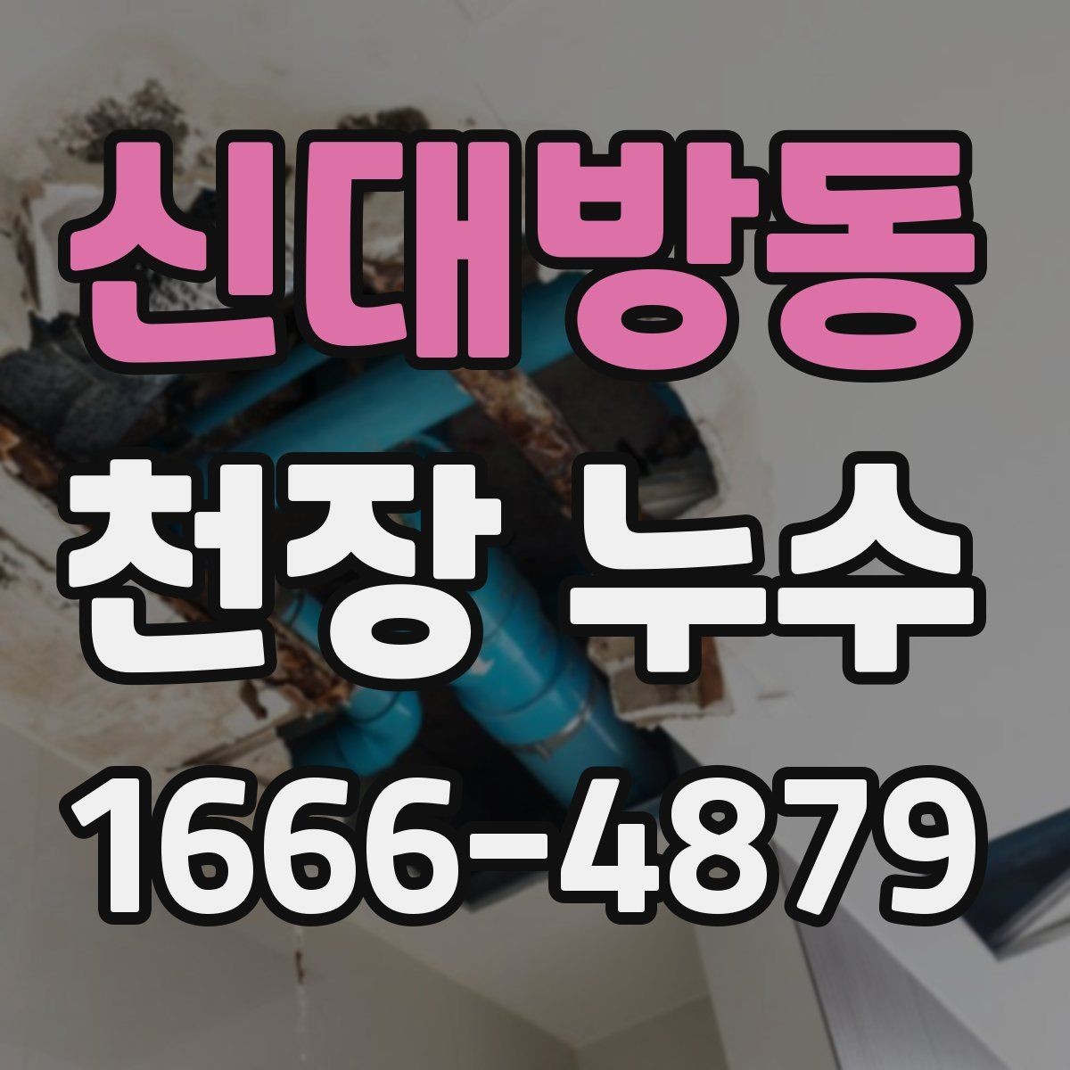 신대방동 천장 누수 곰팡이와 악취가 생기기 전 점검하세요