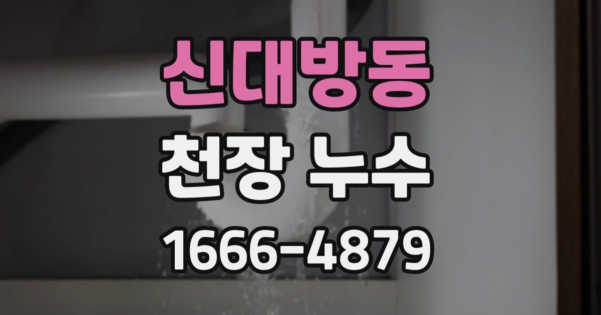 신대방동 천장 누수
