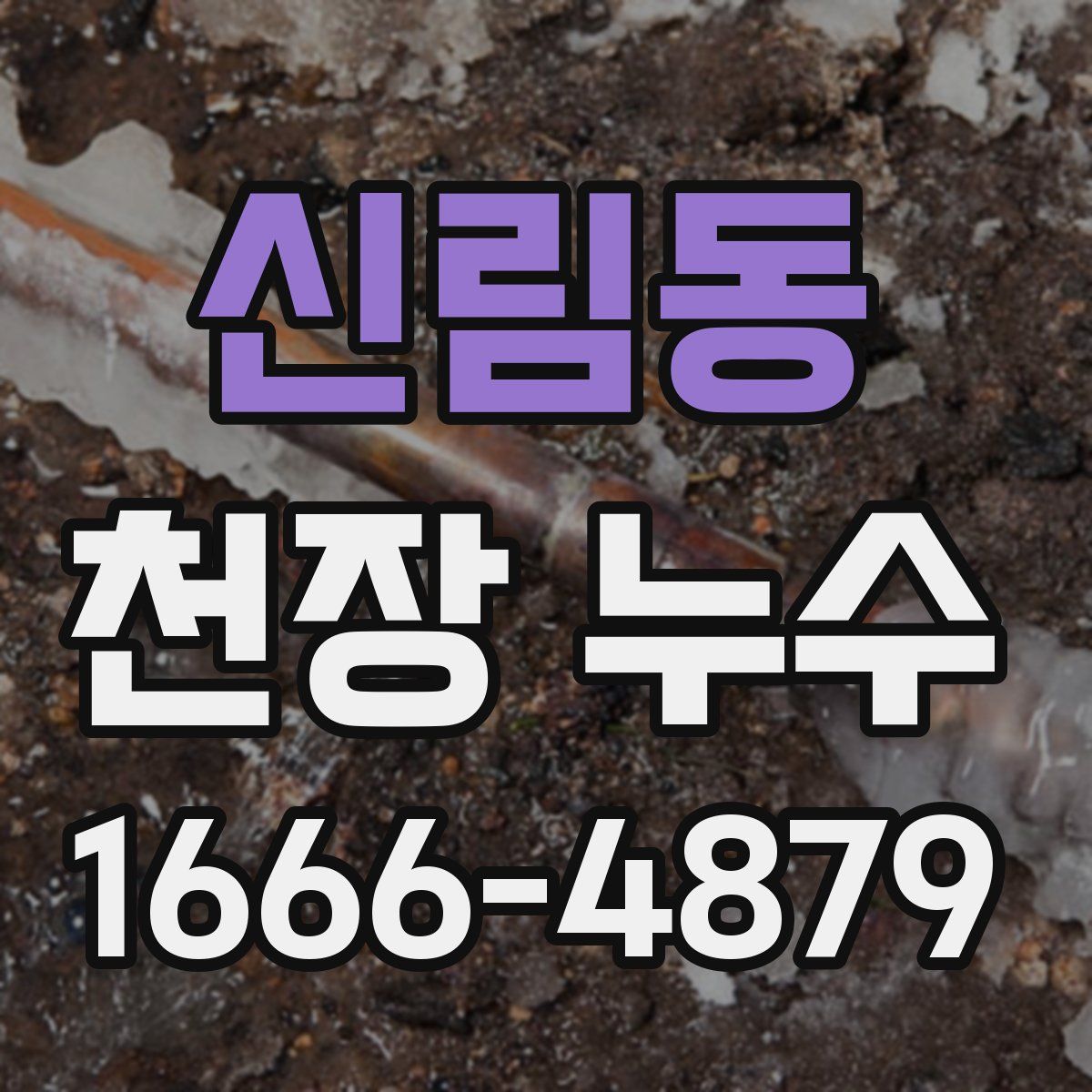 신림동 천장 누수