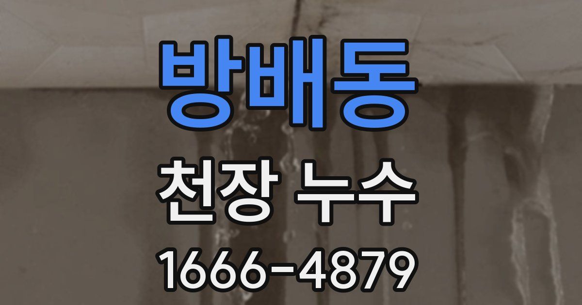 방배동 천장 누수
