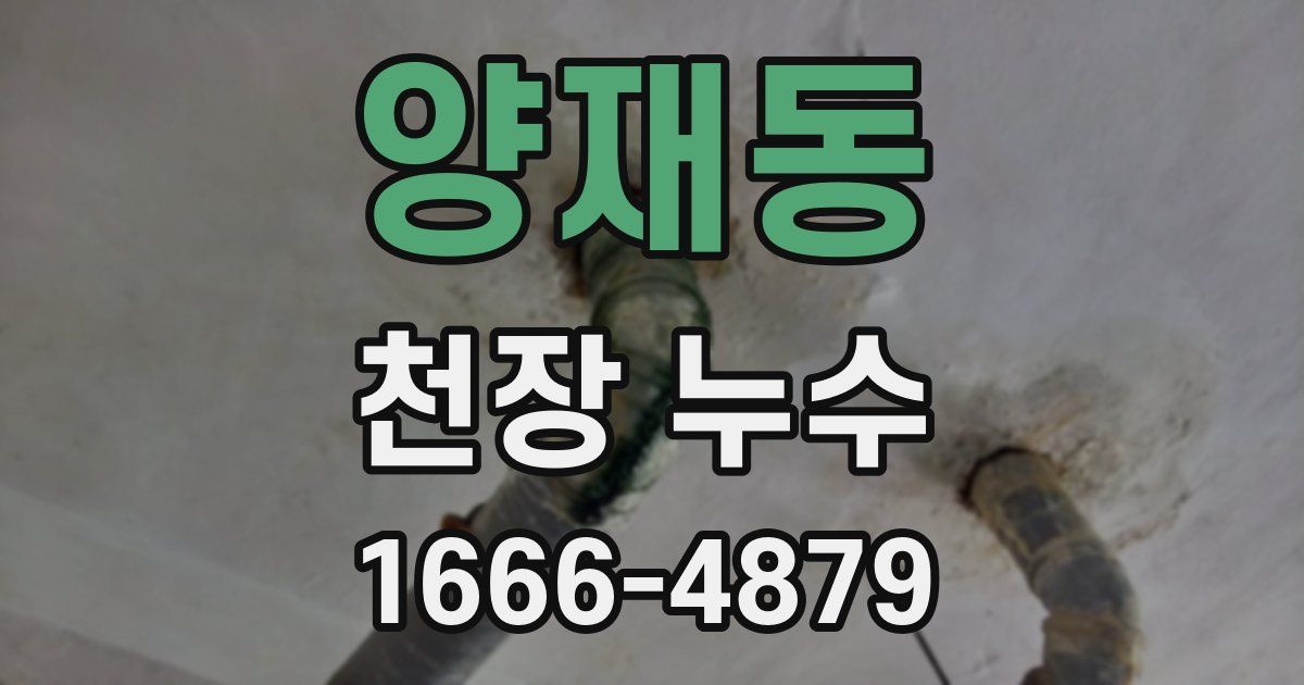 양재동 천장 누수