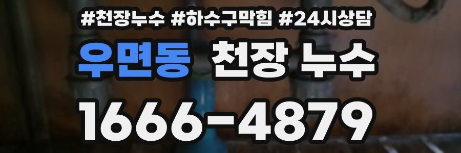 우면동 천장 누수