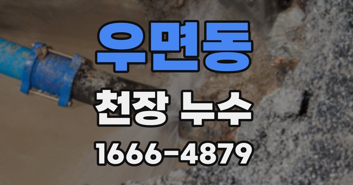 우면동 천장 누수