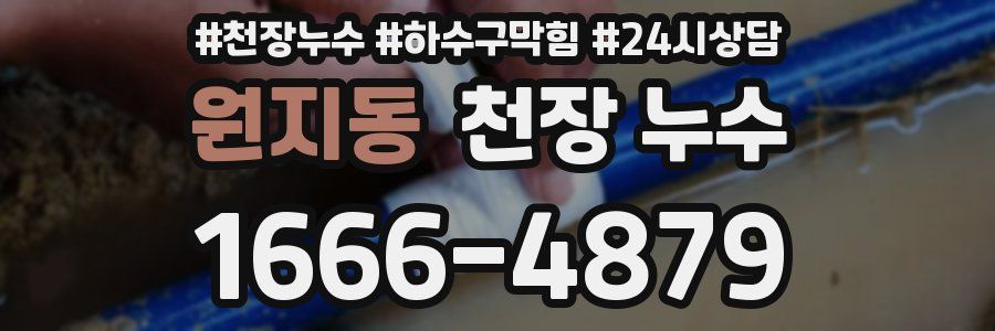 원지동 천장 누수