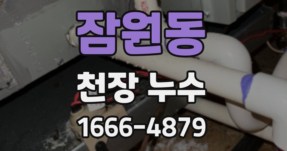 잠원동 천장 누수