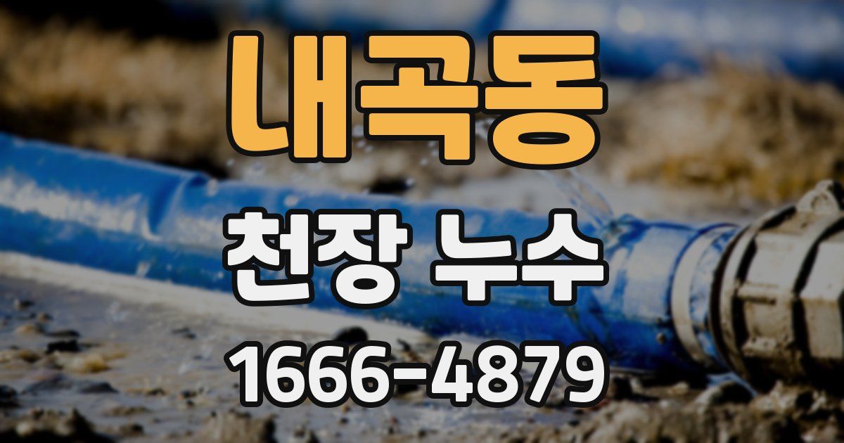 내곡동 천장 누수