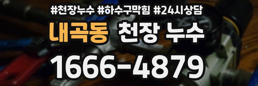 내곡동 천장 누수