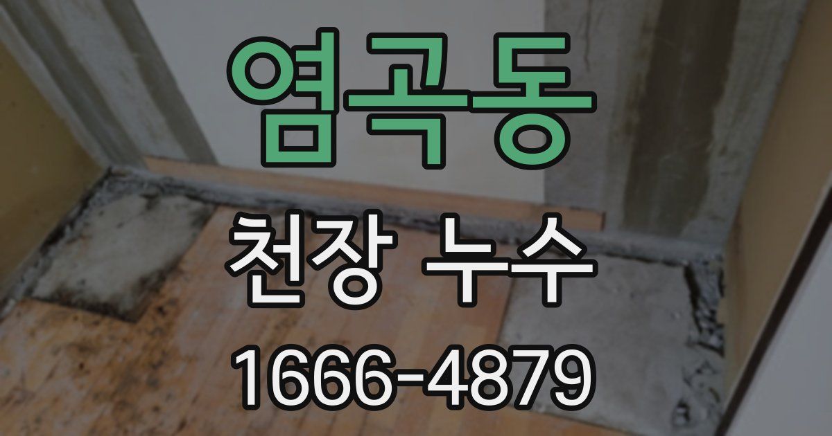 염곡동 천장 누수