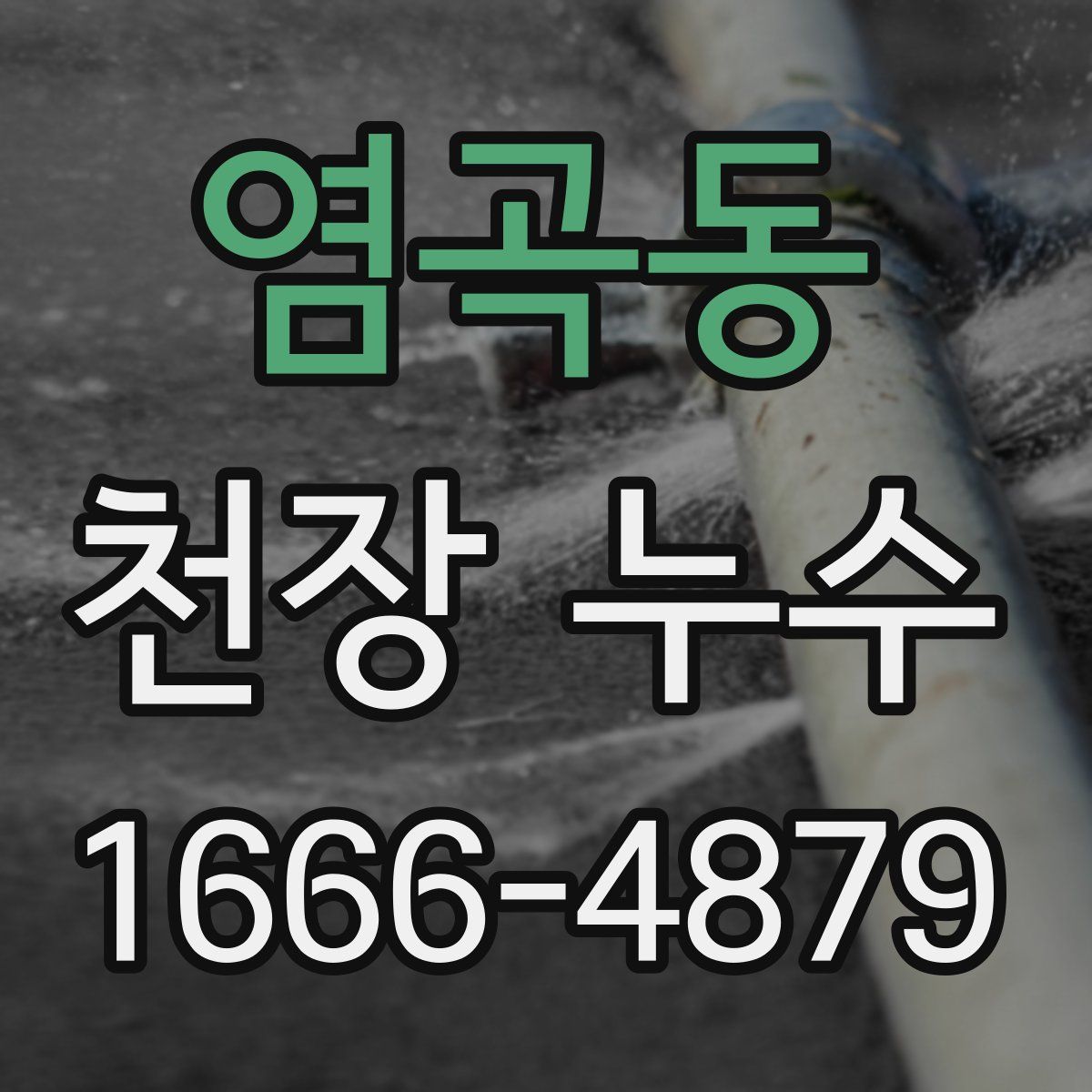 염곡동 천장 누수