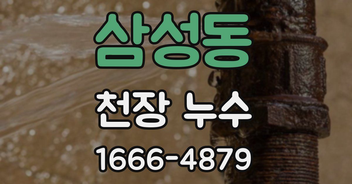 삼성동 천장 누수