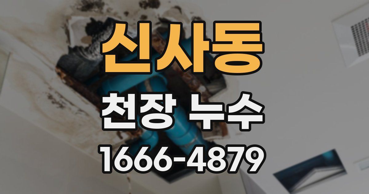 신사동 천장 누수