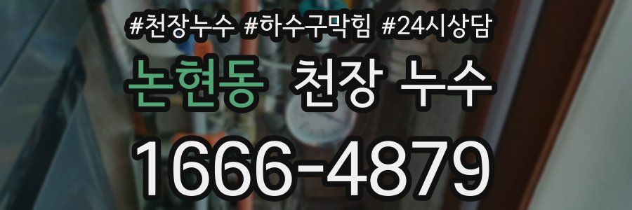 논현동 천장 누수