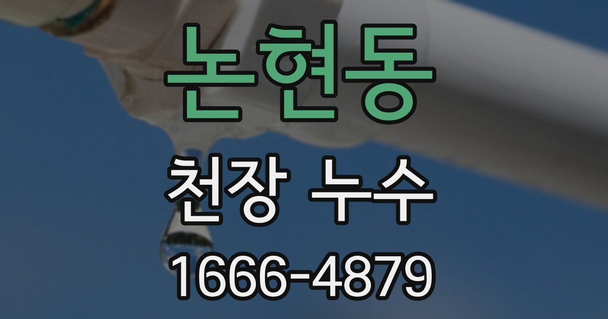 논현동 천장 누수