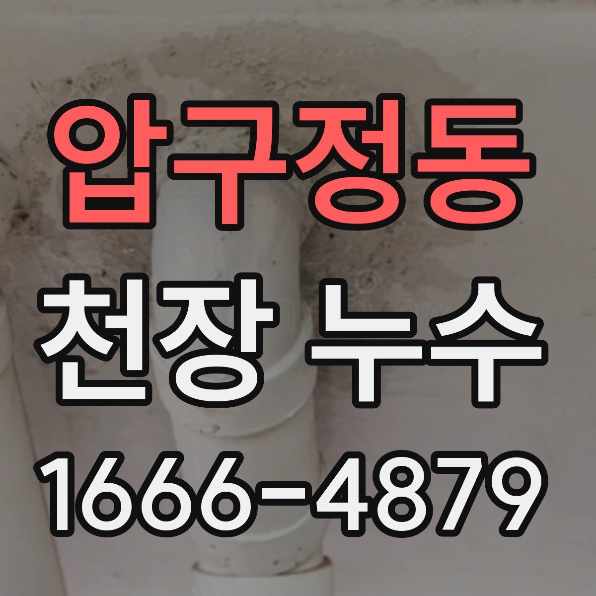 압구정동 천장 누수