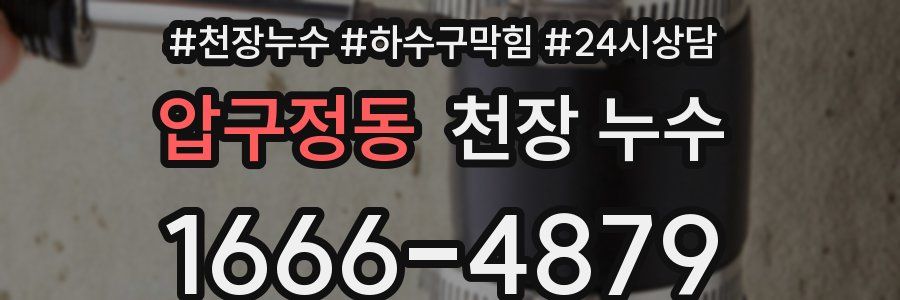 압구정동 천장 누수