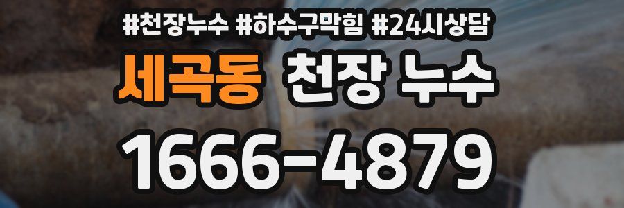 세곡동 천장 누수