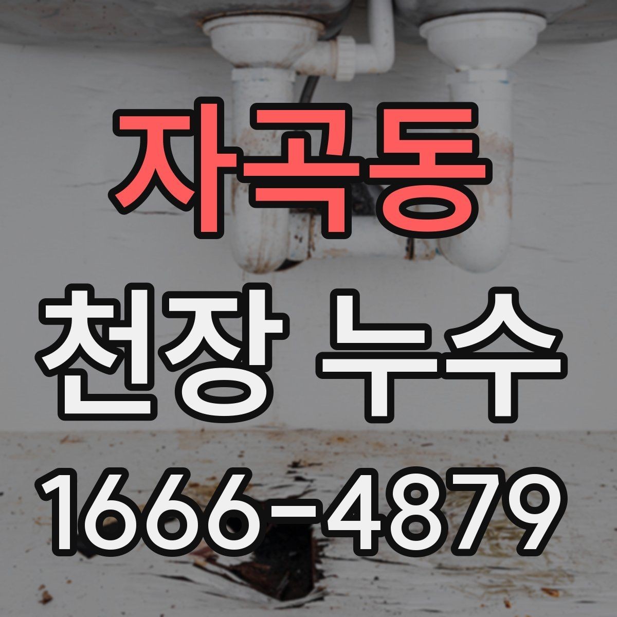 자곡동 천장 누수 천장 주변이 눅눅하고 습도가 올라갔다면