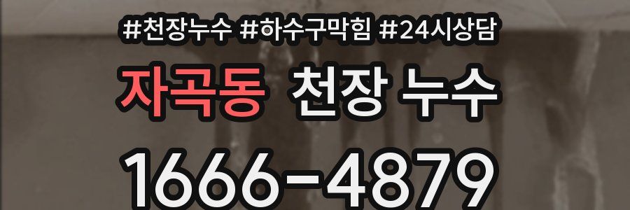 자곡동 천장 누수